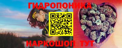 гидропоника Гусь-Хрустальный