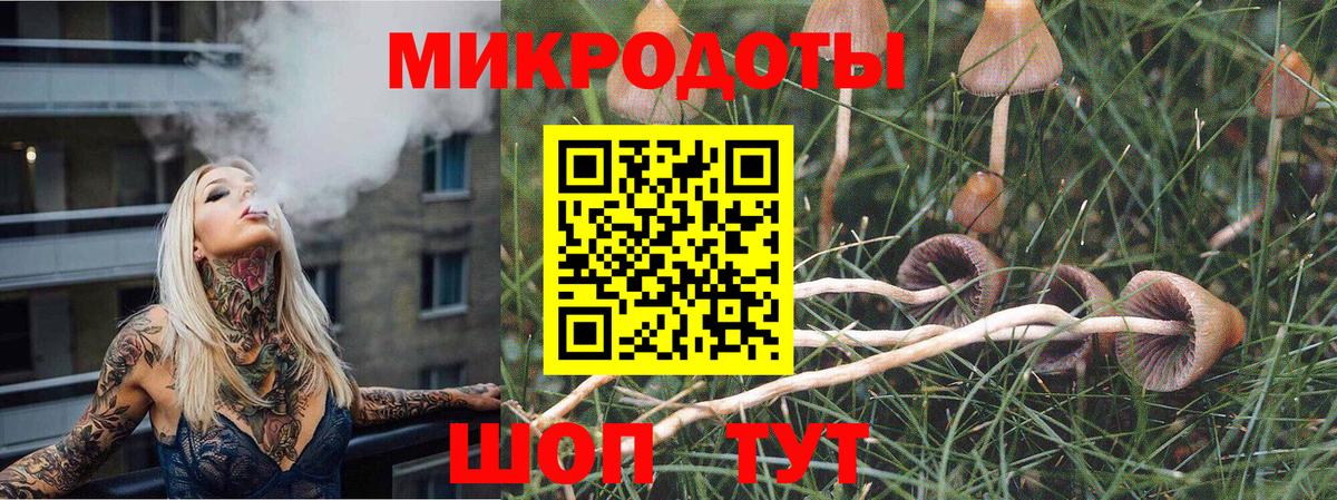 Галлюциногенные грибы Psilocybe Новый Уренгой
